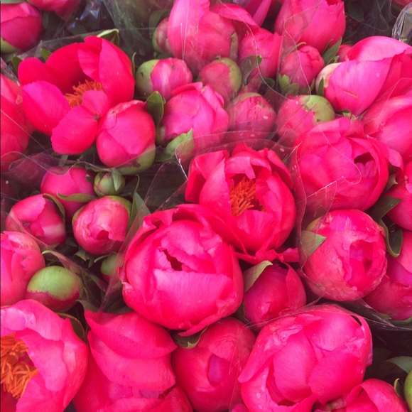 Meet your Posher, NB - Picture 1 of 1